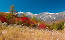 紅葉と白馬三山
