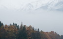 晩秋の雨-白馬深空地区にて