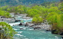 松川の青い流れと新緑