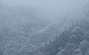 小雪に煙る白馬東山