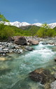 清流松川と新緑の白馬連峰